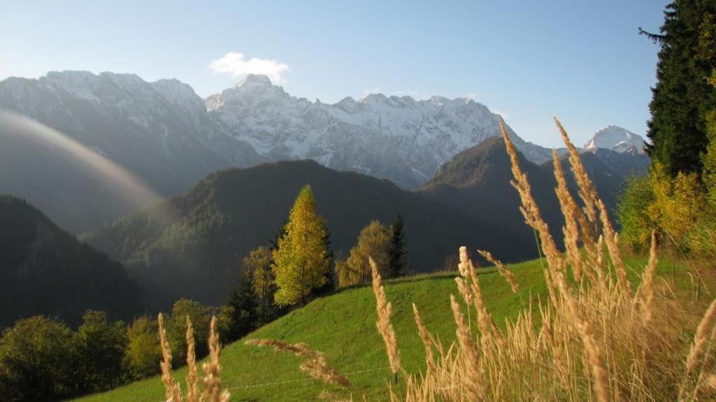 Farm Stay "Alpine Dreams" Solčava Exterior foto